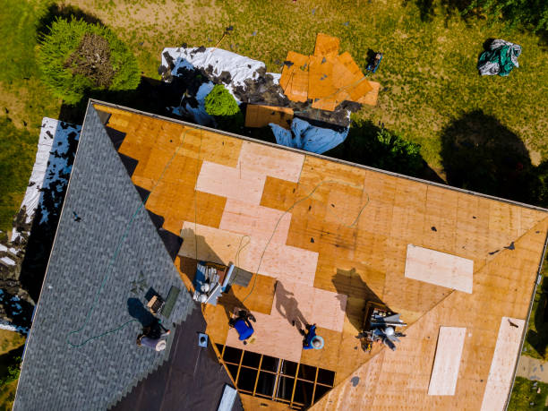 Roof Waterproofing Services in Dulce, NM